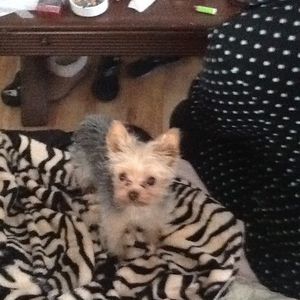 Meet your Posher, Lynda